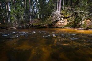 kleiner Waldfluss im frühen Frühling foto