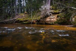 kleiner Waldfluss im frühen Frühling foto