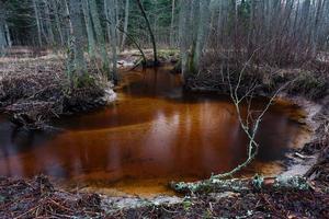 kleiner Waldfluss foto