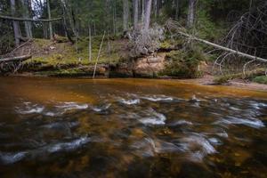 kleiner Waldfluss im frühen Frühling foto