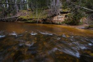 kleiner Waldfluss im frühen Frühling foto