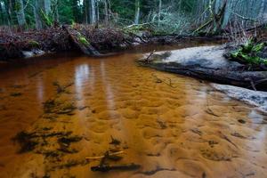 kleiner Waldfluss foto