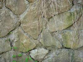 Steinhintergrund. Pflanzen wachsen auf einer alten Steinmauer. altes Mauerwerk. Überreste antiker Architektur. foto