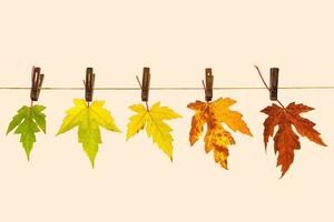 Herbstfarbene Blätter an einer Schnur als Symbol der vergehenden Zeit foto