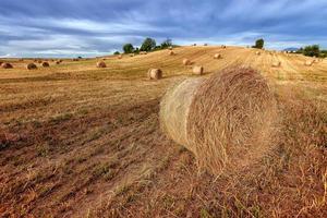 Malerischer Blick auf Heuballen auf abgeernteten Weizenfeldern in der Provence, Südfrankreich gegen dramatischen Sommerhimmel foto