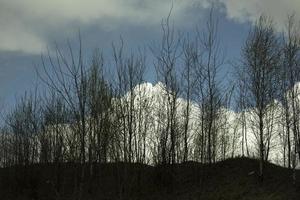 Wald und Wolken. Landschaft mit Silhouetten von Bäumen. natürlicher Standort. foto