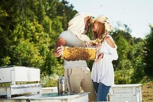 Zwei Imker arbeiten an sonnigen Tagen mit Waben voller Bienen im Freien. Mann und Frau foto