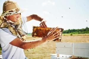 müssen vorsichtig sein. Imker arbeitet an sonnigen Tagen mit Waben voller Bienen im Freien foto