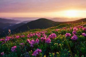 Sommer Naturlandschaft. majestätische Karpaten. schöne Landschaft. atemberaubender Ausblick foto