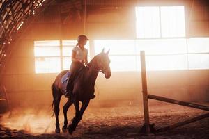 majestätisches bild der pferdesilhouette mit reiter auf sonnenuntergangshintergrund. Der Mädchenjockey auf dem Rücken eines Hengstes reitet in einem Hangar auf einer Farm foto