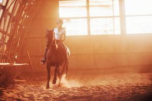 majestätisches bild der pferdesilhouette mit reiter auf sonnenuntergangshintergrund. Der Mädchenjockey auf dem Rücken eines Hengstes reitet in einem Hangar auf einer Farm foto