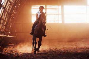 majestätisches bild der pferdesilhouette mit reiter auf sonnenuntergangshintergrund. Der Mädchenjockey auf dem Rücken eines Hengstes reitet in einem Hangar auf einer Farm foto