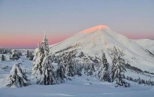 majestätischer petros-berg, der vom sonnenlicht beleuchtet wird. magische Winterlandschaft mit schneebedeckten Bäumen am Tag