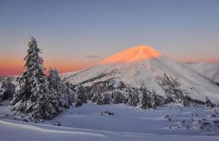 majestätischer petros-berg, der vom sonnenlicht beleuchtet wird. magische Winterlandschaft mit schneebedeckten Bäumen am Tag foto