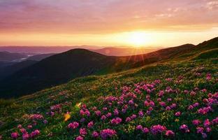 bewölkter Himmel. majestätische Karpaten. schöne Landschaft. atemberaubender Ausblick foto