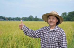 Porträt ältere asiatische Bäuerin hält Notizbuch und Stift und Informationen zum Weißreisanbau in der Mitte ihres Reisfeldes, weicher und selektiver Fokus. foto