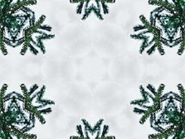 verschwommene grüne Blätter Kaleidoskophintergrund abstrakte Blume und symmetrisches Muster für Weihnachtsstimmung foto