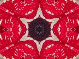 roter floraler Kaleidoskophintergrund abstraktes, einzigartiges und symmetrisches Muster für Weihnachtsstimmung foto