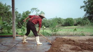 männlicher Bauer putzt das Vieh in der Scheune auf dem Milchviehbetrieb. landwirtschaftsindustrie, landwirtschafts- und tierhaltungskonzept, kuh auf milchfarm, die heu frisst. Kuhstall. foto