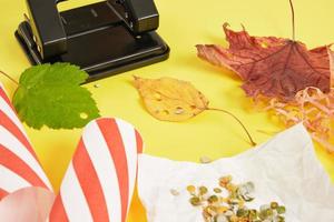 konfetti aus natürlichen materialien, abfallfreier lebensstil, umweltfreundliches herbstlaubkonfetti mit locher foto