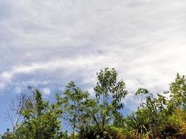 schöne Aussicht, klarer blauer Himmel und viele natürliche grüne Bäume foto