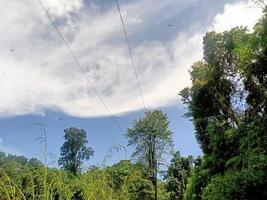 schöne Aussicht, klarer blauer Himmel und viele natürliche grüne Bäume foto