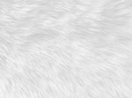 weißer sauberer Wollbeschaffenheitshintergrund. leichte natürliche Schafwolle. weiße nahtlose Baumwolle. Textur aus flauschigem Fell für Designer. Nahaufnahme Fragment weißer Wollteppich. foto