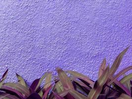 nahtlose textur der lila zementwand eine raue oberfläche, darunter befinden sich dekorative blätter. mit platz für text, zementtapete, für einen hintergrund. foto