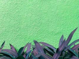 nahtlose textur der grünen zementwand eine raue oberfläche, darunter befinden sich dekorative blätter. mit platz für text, zementtapete, für einen hintergrund. foto