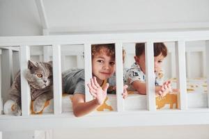 Zwei kleine Jungen ruhen sich aus und haben gemeinsam Spaß drinnen im Schlafzimmer. Katze, die in ihrer Nähe sitzt foto