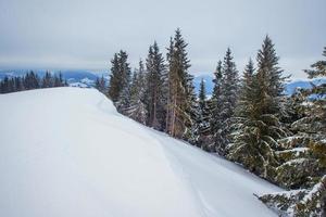 Karpaten Winterberge foto