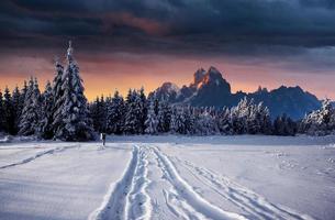 majestätische Landschaft mit Wald zur Winterzeit. Landschaft Hintergrund foto