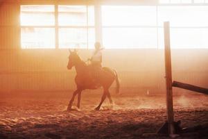 majestätisches bild der pferdesilhouette mit reiter auf sonnenuntergangshintergrund. Der Mädchenjockey auf dem Rücken eines Hengstes reitet in einem Hangar auf einer Farm foto