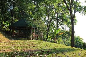 reise nach doi suthep nationalpark, chiang mai, thailand. der blick auf eine nische auf dem bergcampingplatz in einem wald. foto