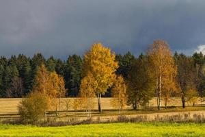 Herbstlandschaft mit gelben Blättern an einem sonnigen Tag foto