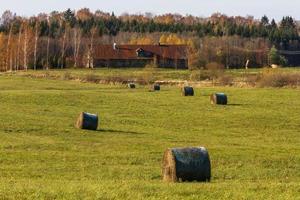 Herbstlandschaft mit gelben Blättern an einem sonnigen Tag foto