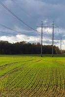 Herbstlandschaft mit gelben Blättern an einem sonnigen Tag foto