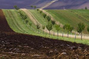 Herbstlandschaft in einem mährischen Feld foto