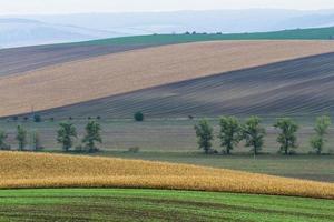 Herbstlandschaft in einem mährischen Feld foto