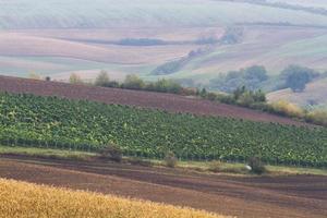 Herbstlandschaft in einem mährischen Feld foto