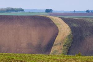 Herbstlandschaft in einem mährischen Feld foto