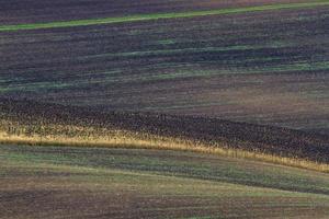 Herbstlandschaft in einem mährischen Feld foto