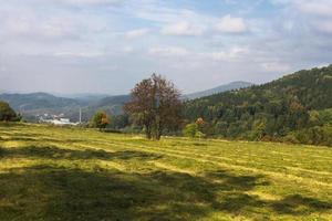 Herbstlandschaft mit gelben Blättern an einem sonnigen Tag foto