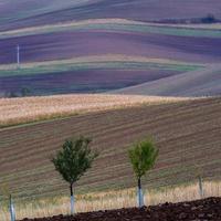 Herbstlandschaft in einem mährischen Feld foto