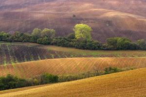 Herbstlandschaft in einem mährischen Feld foto