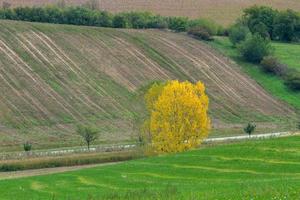 Herbstlandschaft in einem mährischen Feld foto