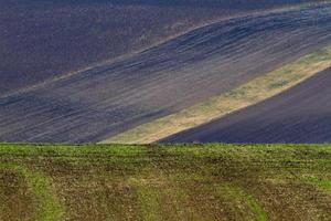 Herbstlandschaft in einem mährischen Feld foto