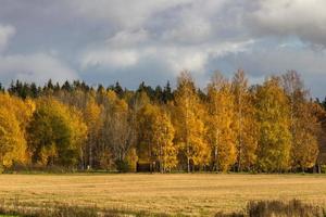 Herbstlandschaft mit gelben Blättern an einem sonnigen Tag foto