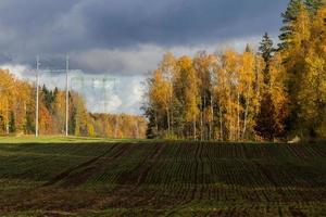 Herbstlandschaft mit gelben Blättern an einem sonnigen Tag foto