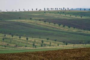 Herbstlandschaft in einem mährischen Feld foto